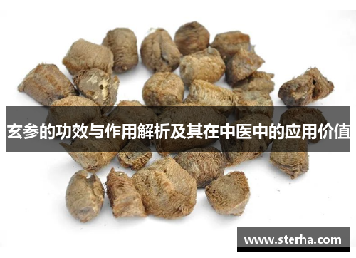 玄参的功效与作用解析及其在中医中的应用价值