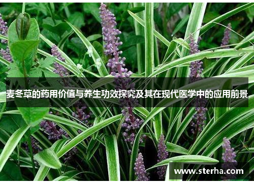 麦冬草的药用价值与养生功效探究及其在现代医学中的应用前景
